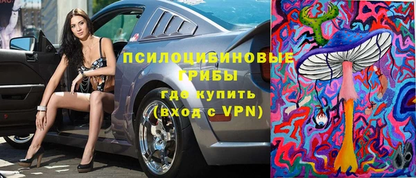 PSILOCYBIN Бугульма