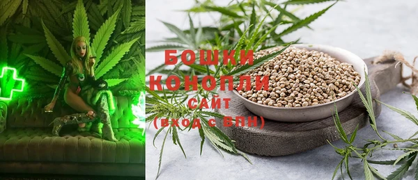 PSILOCYBIN Бугульма