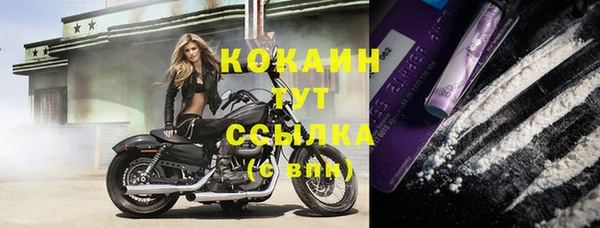 хмурый Бронницы