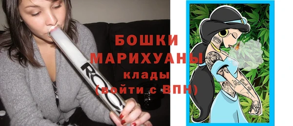 хмурый Бронницы