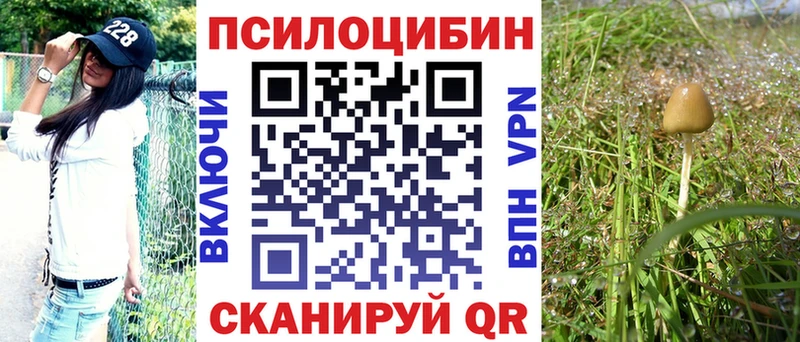 Галлюциногенные грибы мухоморы  Купить  Приозерск 